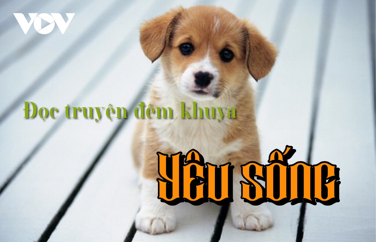 Truyện ngắn "Yêu sống" - Khuyển mã chi tình